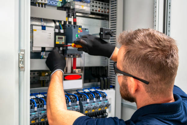 Best Electrical Panel Upgrades  in Hoback, WY